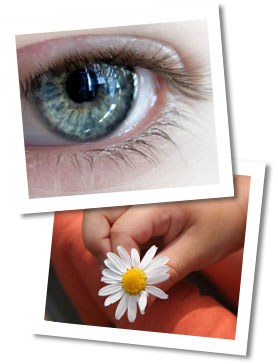 Agent(e) d'Education